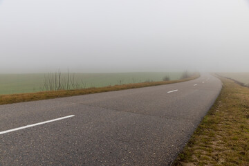 the road and fog in the distance that obscures visibility, yellow grass and shrubs without foliage grow along the road