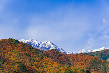 紅葉と白馬連峰