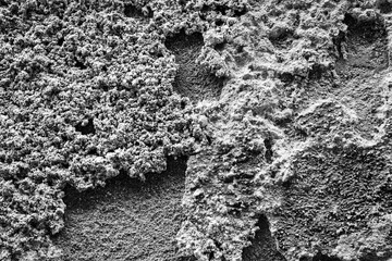 Rough Concrete Surface Texture in Monochrome &ndash; Closeup of Cracked, Crumbly Gray Material, Industrial Texture Detail