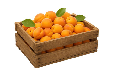 Ripe apricots spilling from a rustic wooden crate, featuring fresh, healthy organic fruit for a bountiful summer harvest