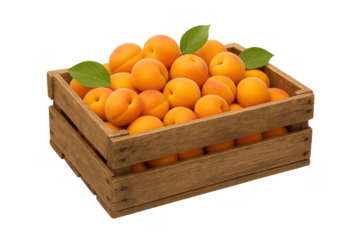 Ripe apricots spilling from a rustic wooden crate, featuring fresh, healthy organic fruit for a bountiful summer harvest