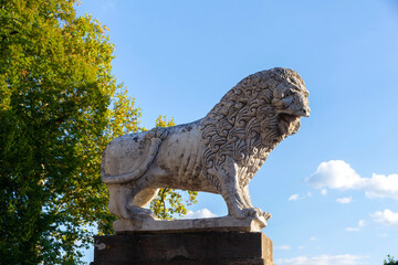Stone Lion Statue Outdoor Sculpture With Ornate Mane on Pedestal Under Clear Sky