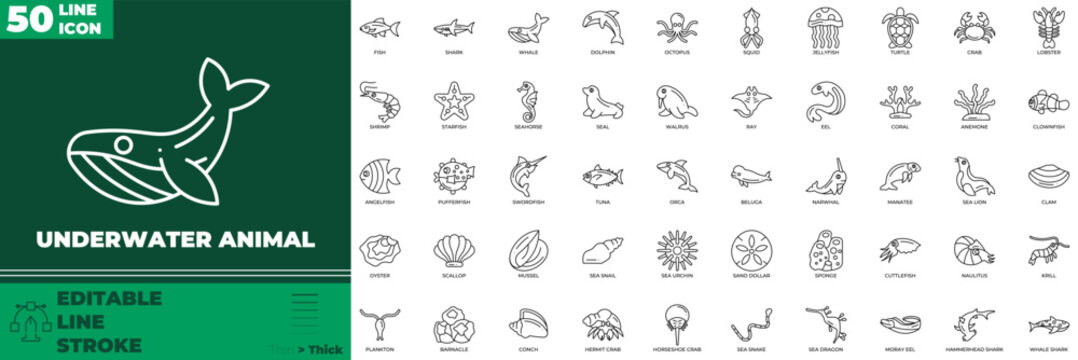 Underwater Animal Line Editable Icons set