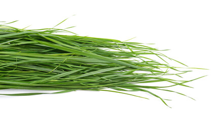 Fresh green grass isolated on white background.