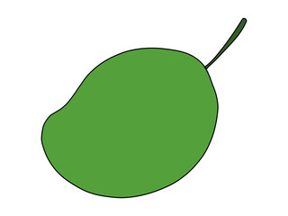 Green mango isolated on white