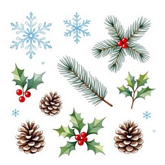 Christmas set with poinsettia, pine cones, holly berry and fir branches. 