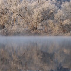 Hoarfrost and Fog