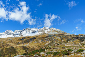 A Alps mountain range in Switzerland with snow on the top and a few trees in the foreground. The sky is clear and the sun is shining