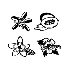 Exotic flowers hand drawn vector illustrations