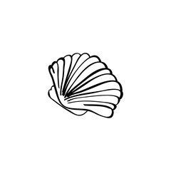 Seashell hand drawn vector illustration