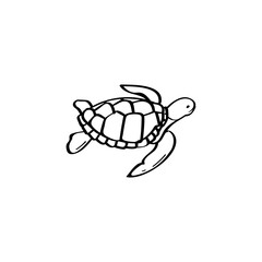 Turtle hand drawn vector illustration