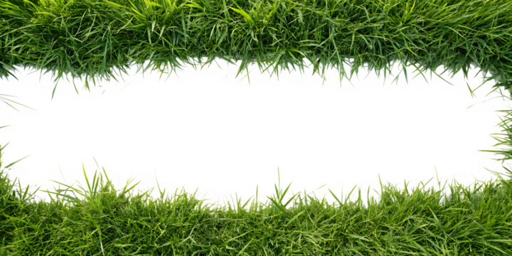 Lush Green Grass Border Framing a Dark Empty Space with Colorful Highlights, cutout, PNG isolated on white or transparent background