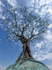 Obraz premium The Embrace olive tree sculpture - Siena, Italy