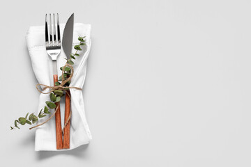 Silver fork with knife, napkin and eucalyptus branch on grey background