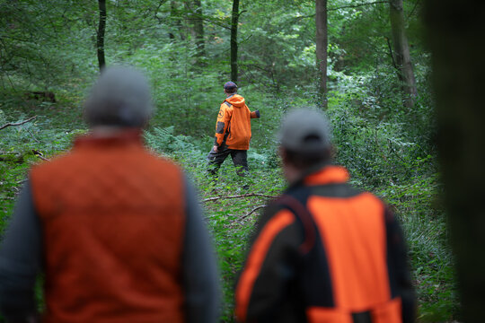 Group of hunters wearing orange safety vests in forest