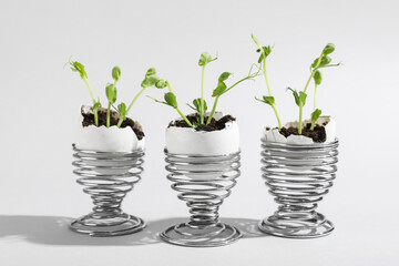 Egg shells with seedlings on grey background