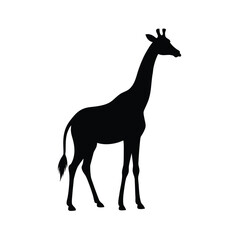 Fototapeta premium Giraffe silhouette animal vector design illustration isolated on background