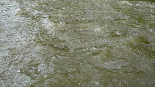 High-angle, close-up shot of a turbulent river surface with strong, rapid currents. The murky, greenish-brown water flows swiftly, creating chaotic ripples, dynamic waves, and small patches of foam.