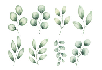Hand painted watercolor green leaf collection isolated.