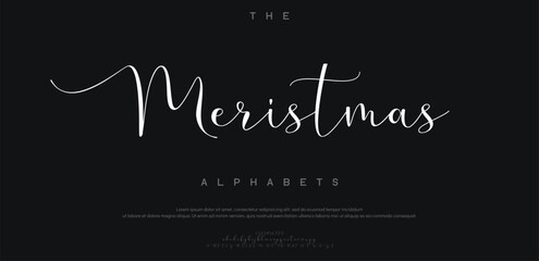 Elegant Signature Font. Best Alphabet Beautiful Calligraphy Signature Font
