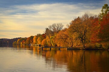 Beautiful colourful autumn leaves. Seasonal natural background. Fall time.