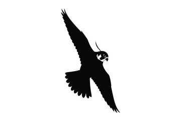 Silhouette of a peregrine falcon in flight against a white background