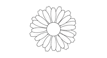 Black and white line drawing of a daisy flower with radiating petals.