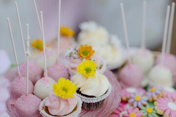 colorful cupcakes on a cake stand
