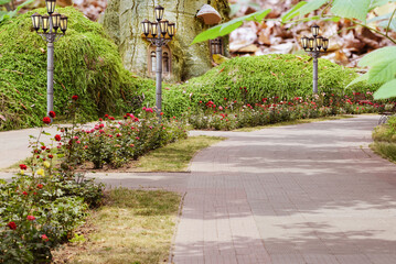 Children's fairytale landscape on a sunny summer day.
