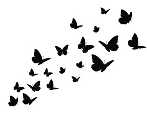 Obraz premium set of butterflies flock