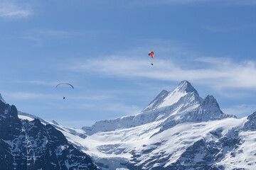 first cliff walk tour in grindewald