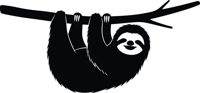 Cute sloth hanging from branch black and white vector illustration