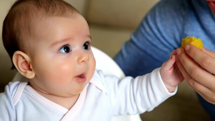Baby Enjoying Food with Parent's Assistance