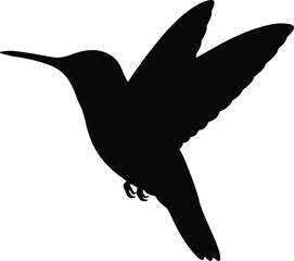 Hummingbird silhouette in flight against white background for graphic design projects