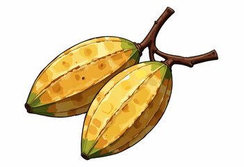 Vibrant Yellow Cocoa Pods Attached to a Branch on a White Background Highlighting Botanical Beauty