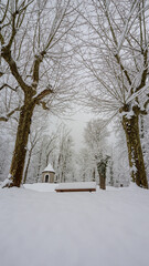 winter park scene with snow covered bench and trees framing a path