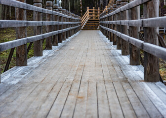 Wooden walkway with railings leading to stairs in a forest