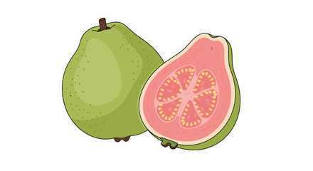 Detailed illustration of a whole green guava fruit next to one sliced in half showing the vibrant pink flesh and seeds.