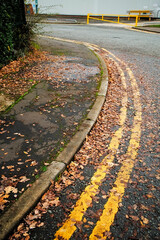 Autumn leaves line a street curb with double yellow parking restriction lines.
