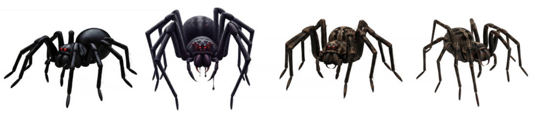 Scary Halloween spider isolated on white background, creepy black arachnid with long legs, spooky Halloween creature, frightening insect design for horror theme and seasonal decoration