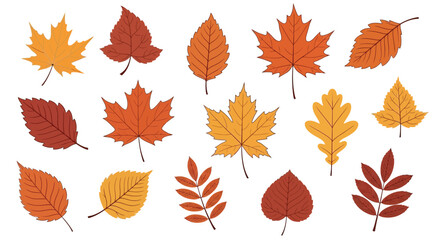 An assortment of colorful autumn leaves scattered on a white background