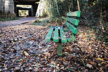 Empty green park bench in an autumn forest path, leaves scattered around.