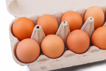 Plastic egg carton isolated on white background