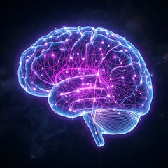 3d rendered illustration of a brain