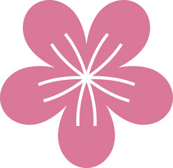 A pink flower with white petals