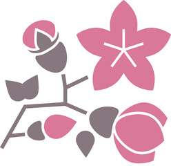A flower with a pink stem and pink petals