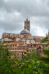Fototapeta premium Siena city view with Mangia Tower and Cathedral , Siena, , Tuscany, Italy