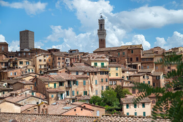 Obraz premium Siena city view with Mangia Tower and Cathedral , Siena, , Tuscany, Italy