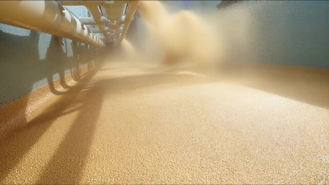 Medium frame capturing textured antislip coating application process emphasizing the creation of safe durable surfaces with varied patterns.