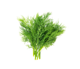 Fresh raw dill bunch isolated on white background.
